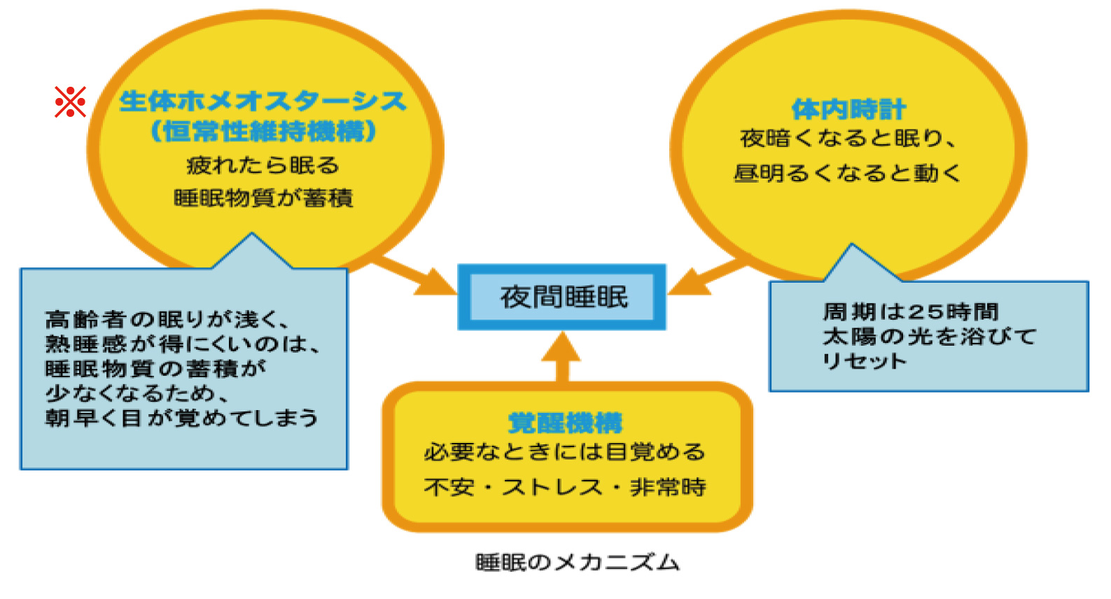 広報誌Web版 「ぐっすり眠って健康に」について - 南大牟田病院